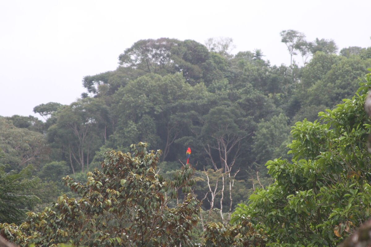 Intro Series: Part 7 - The Real Cost of DIY