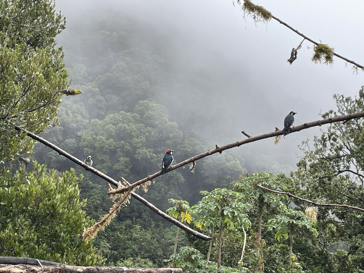 Intro Series: Part 2 - Websites - Technical