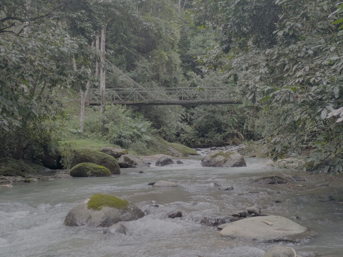 uplevers.com Services