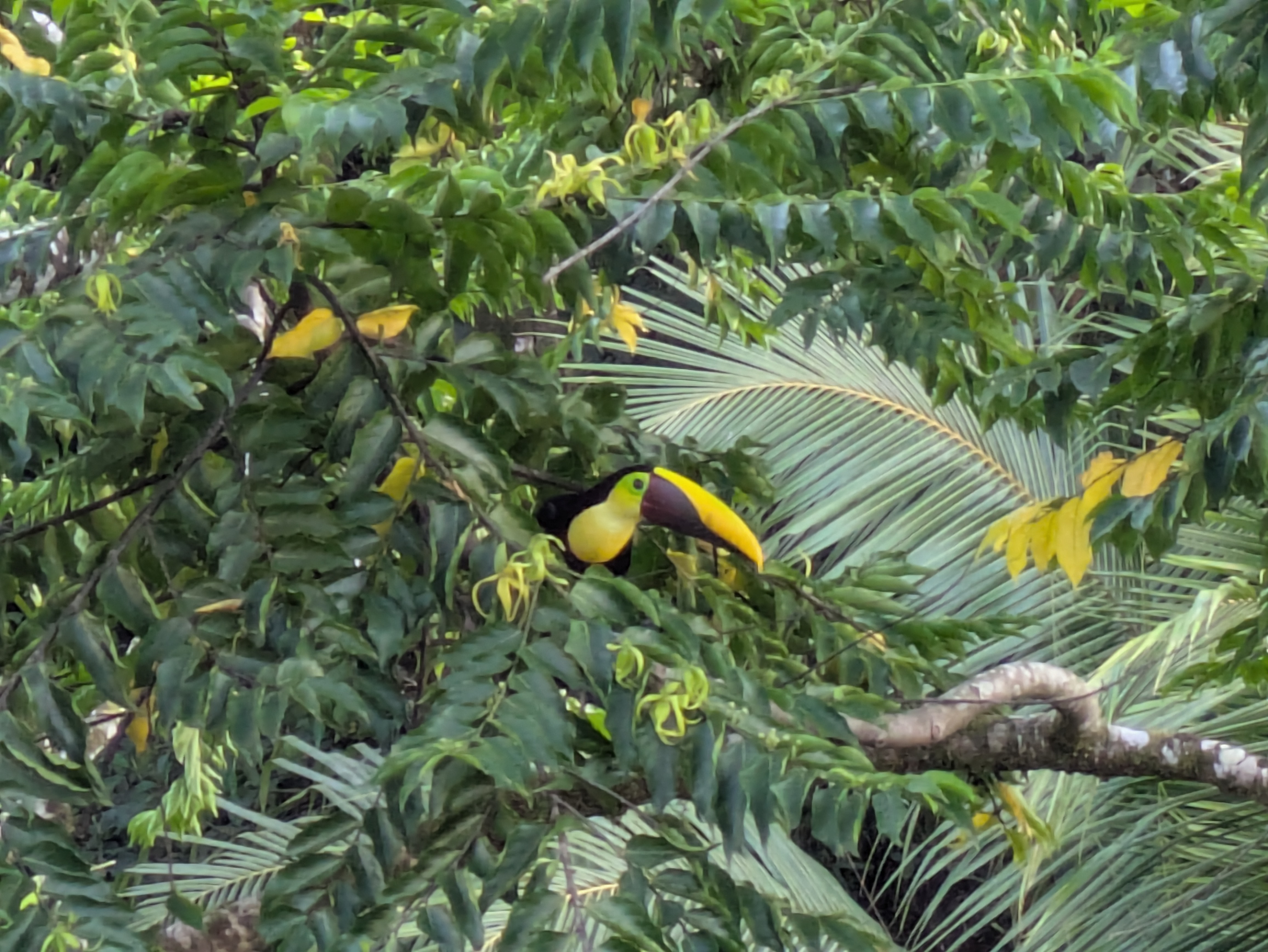 Professional Branding with Some Help from AI