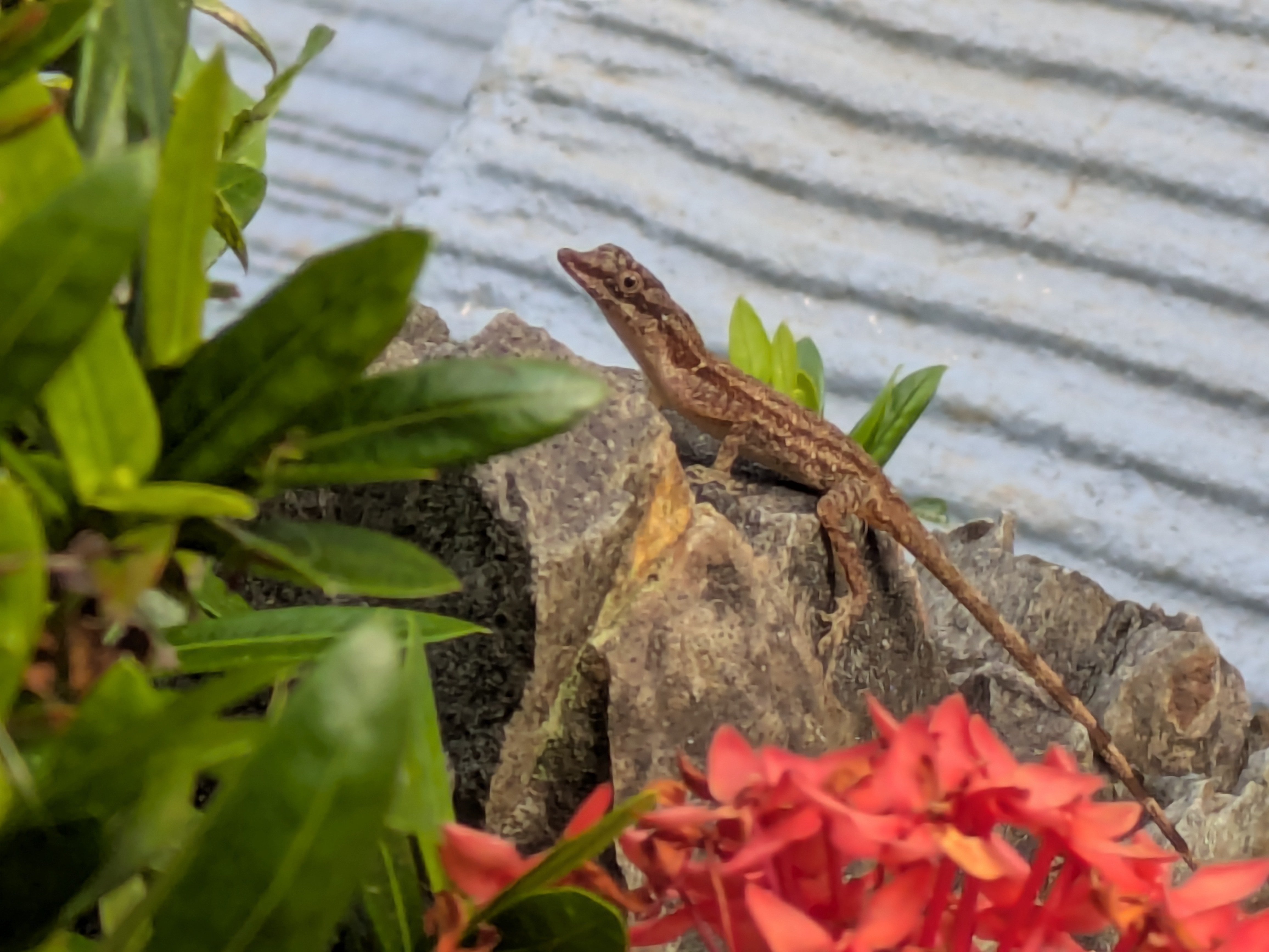 Business Websites: Insider Techniques to Make Functional Business Systems