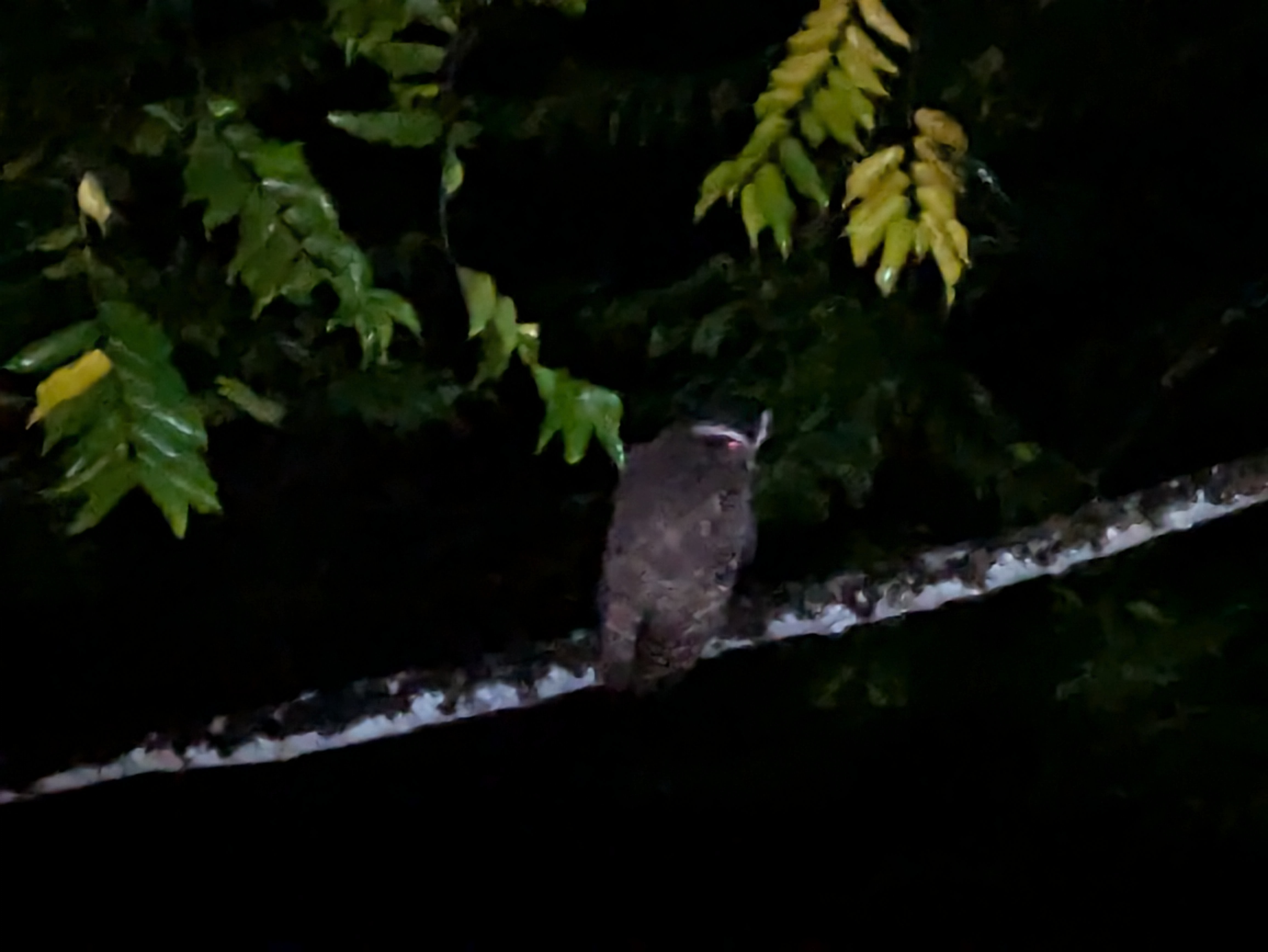 Más Allá de "Ya Tengo Uno": Algunos Sitios Web de Negocios Alejan y Excluyen a Sus Mejores Clientes