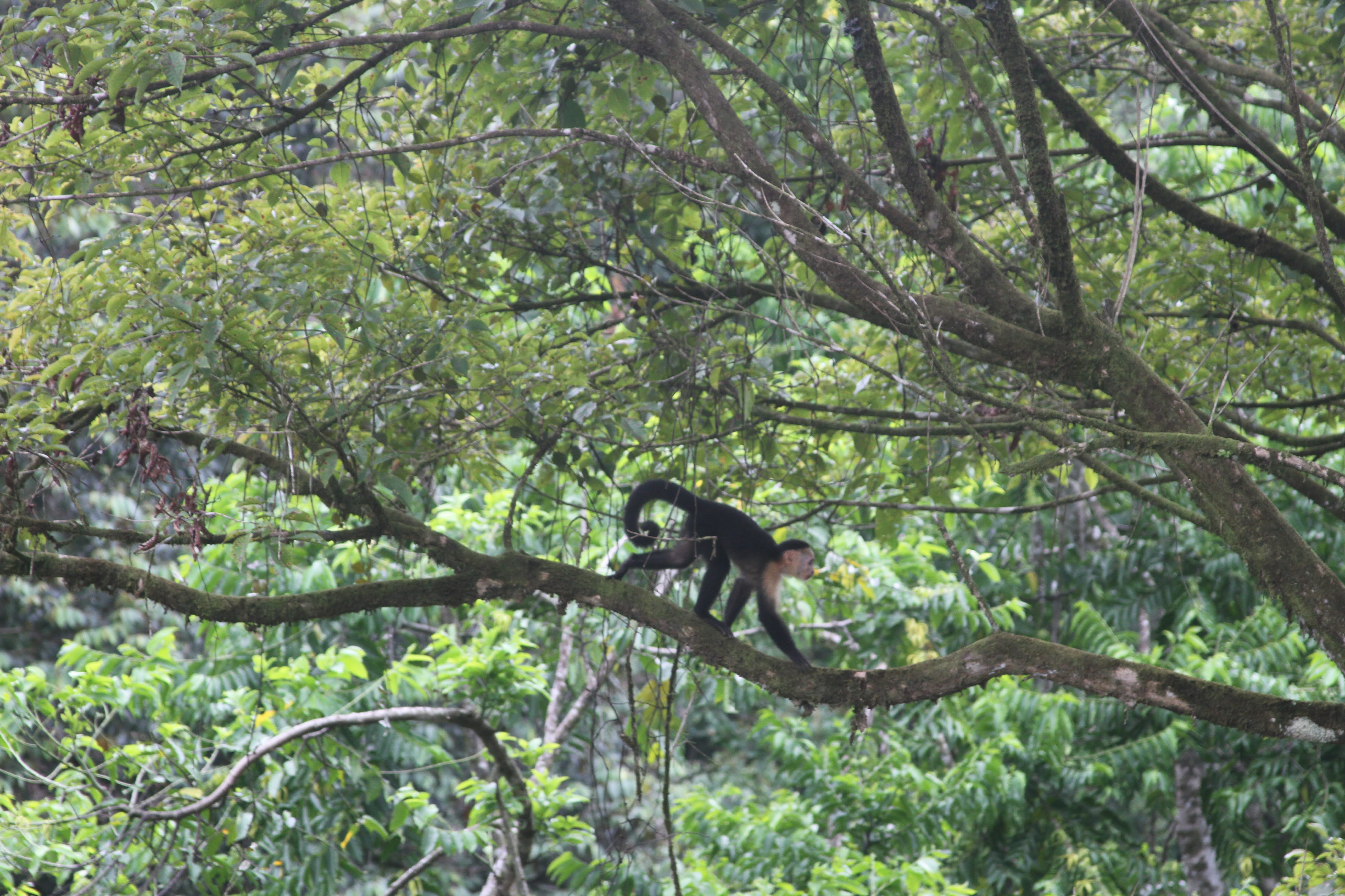 Intro Series: Part 4 - Back to Tech