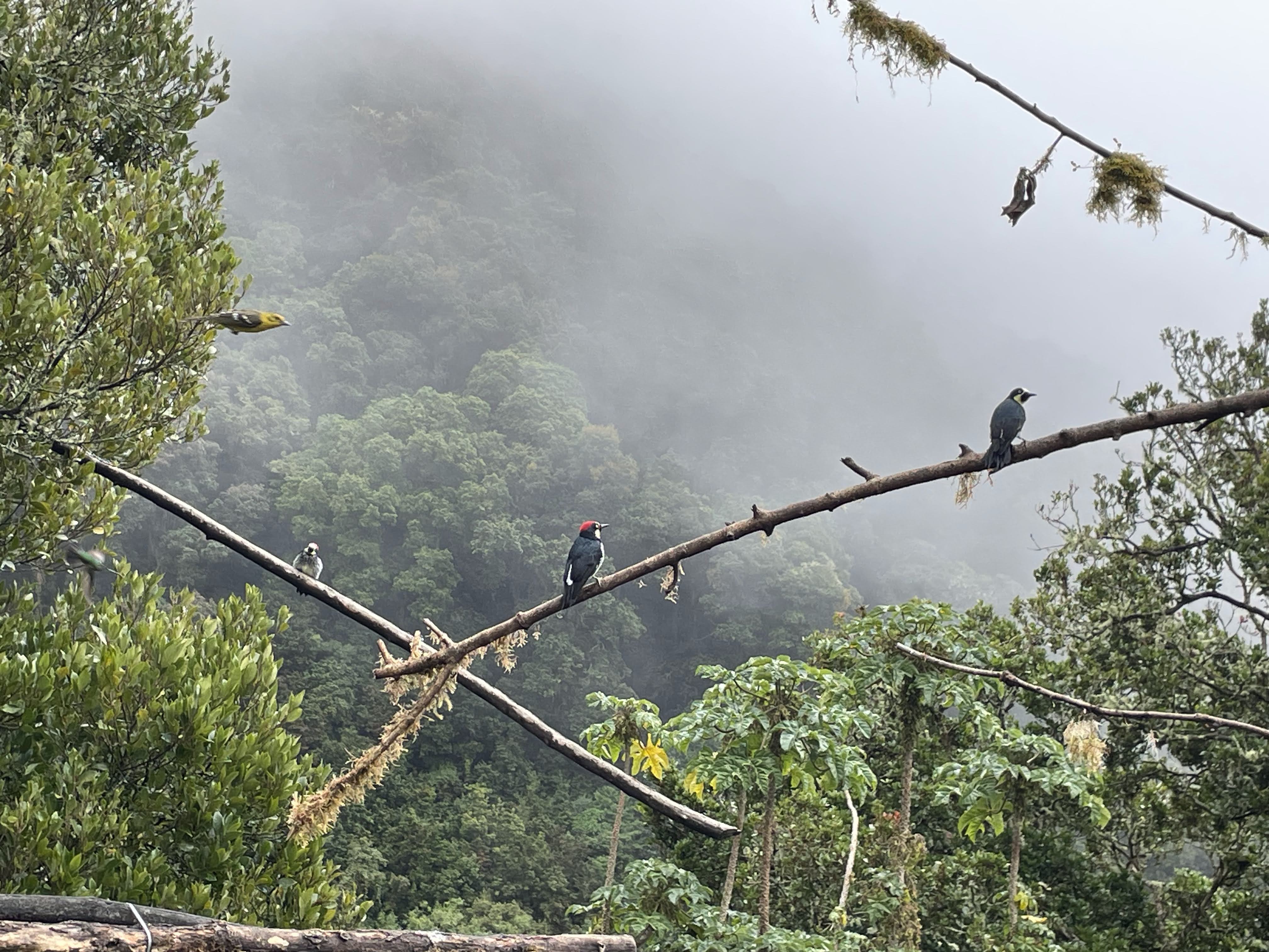 Intro Series: Part 2 - Websites - Technical